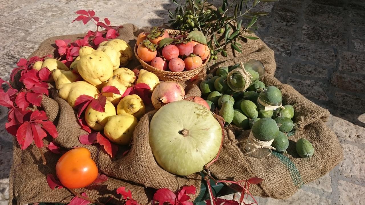 Alojamento de Turismo Rural Torrevecchia San Pancrazio Salentino