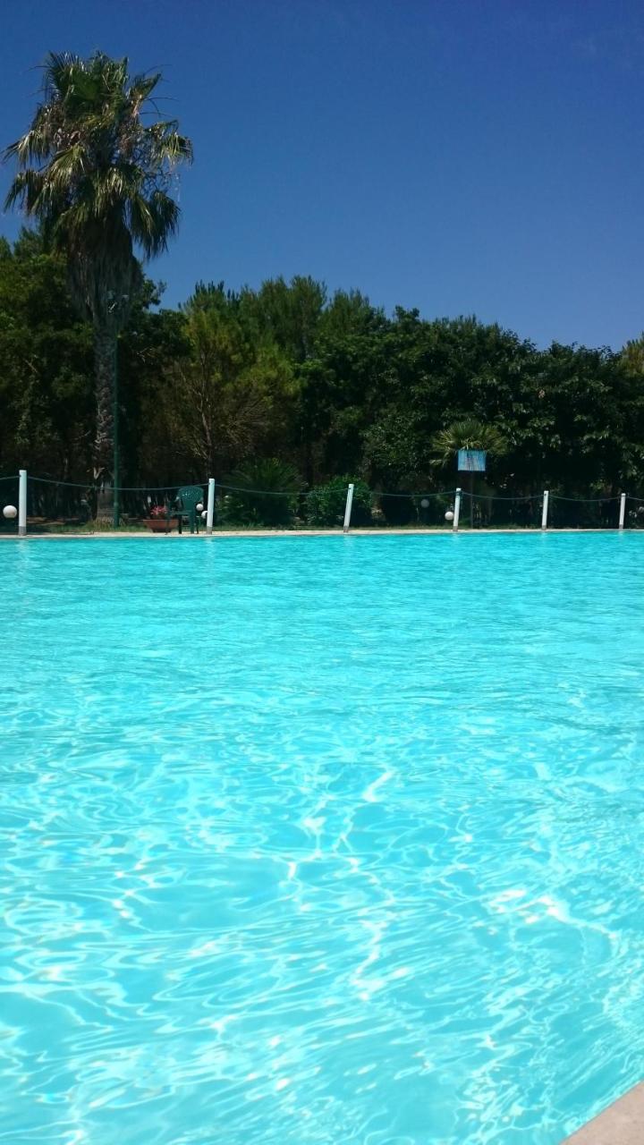 Farm stay Torrevecchia *